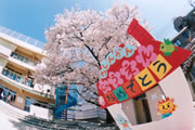 入園式
